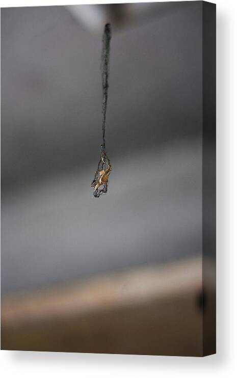 Spider Web Canvas Print featuring the photograph Spider Web by Jackie Russo