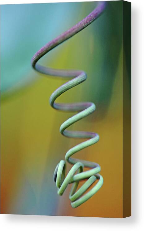 Abstract Canvas Print featuring the photograph Spiraling by Debbie Oppermann