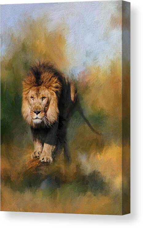 Jai Johnson Canvas Print featuring the photograph Spring Lion by Jai Johnson