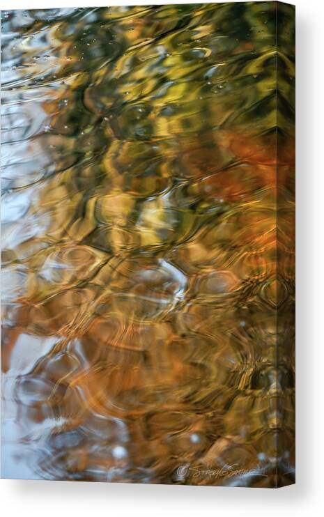 Abstract Canvas Print featuring the photograph St. Johns reflection II by Stacey Sather