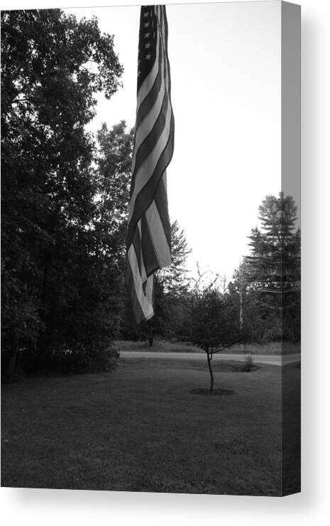 Vertical Canvas Print featuring the photograph Stars and Stripes by Bill Tomsa