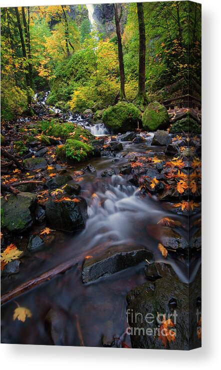 Starvation Creek Canvas Print featuring the photograph Starvation Autumn by Michael Dawson