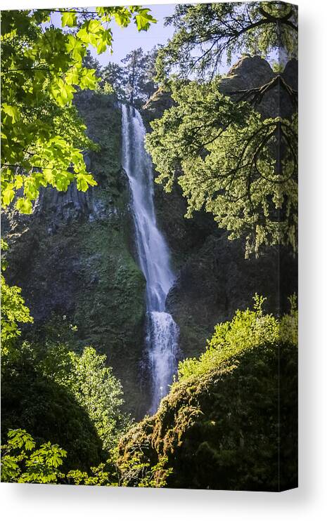 Starvation Creek Canvas Print featuring the photograph Starvation Creek Falls by Albert Seger