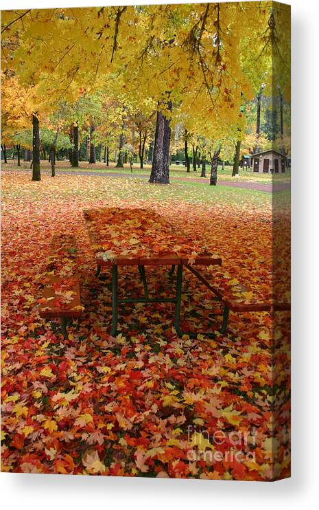 Fall Canvas Print featuring the photograph Still Fall by Marie Neder