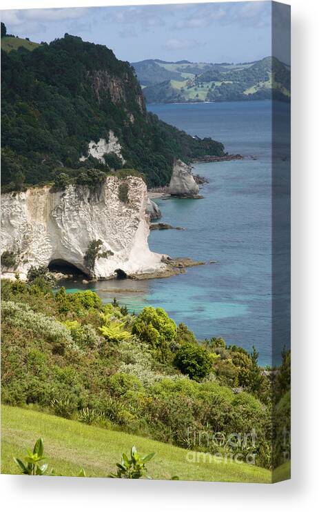 Breathtaking Canvas Print featuring the photograph Stingray Cove by Himani - Printscapes
