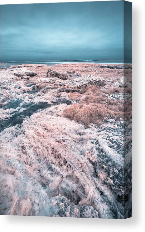 La Jolla Canvas Print featuring the photograph Stranded on Gamma Leonis by Alexander Kunz