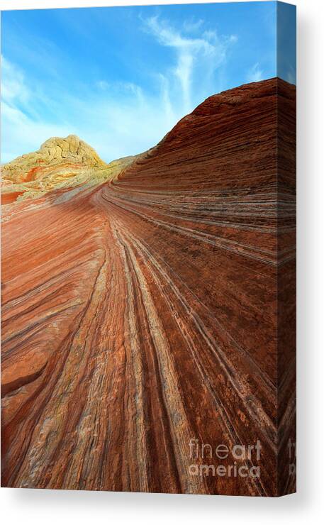 White Pocket Canvas Print featuring the photograph Stripes by Michael Dawson