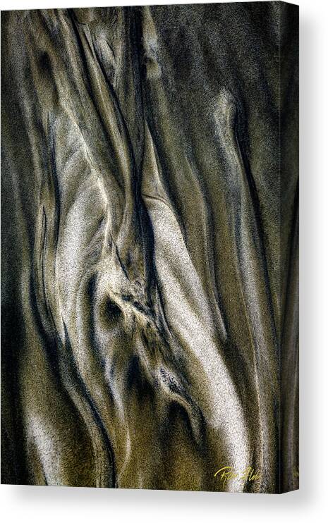 Beach Canvas Print featuring the photograph Study in Brown Abstract Sands by Rikk Flohr