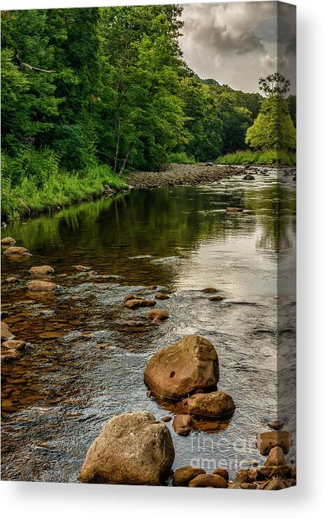 Williams River Canvas Print featuring the photograph Summer Morning Williams River by Thomas R Fletcher