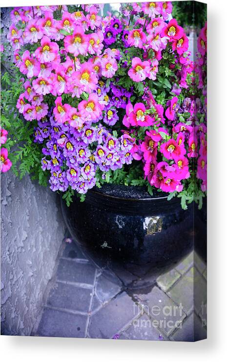 Flora Canvas Print featuring the photograph Summer Planter 2 by Jill Greenaway