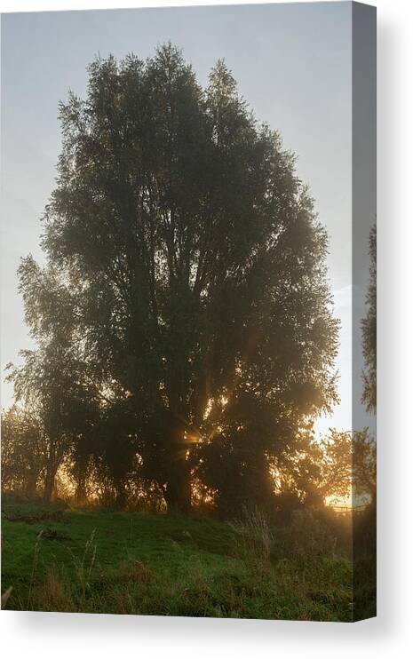 Sun Canvas Print featuring the photograph Sun Rays by Nick Atkin