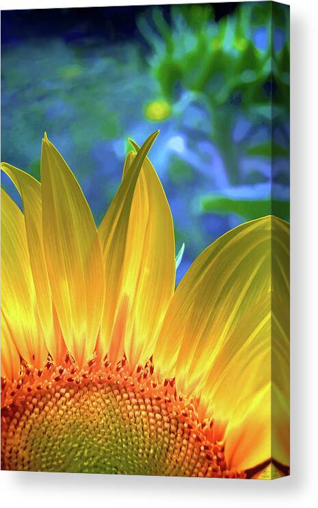 Flower Canvas Print featuring the digital art Sunflower Sunshine by Pennie McCracken