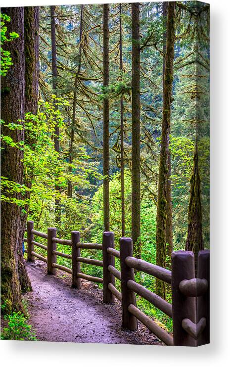 Path Canvas Print featuring the photograph Sunny Path by Jerry Cahill