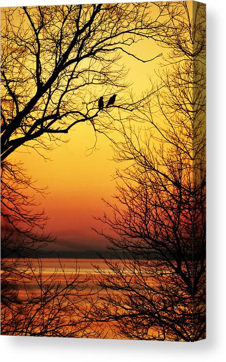 Rumi Canvas Print featuring the photograph Sunrise Submission by Rebecca Sherman