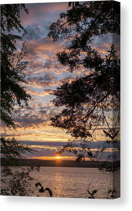 Sunset Canvas Print featuring the photograph Sunset Caressed by Tree Branch by Mary Lee Dereske
