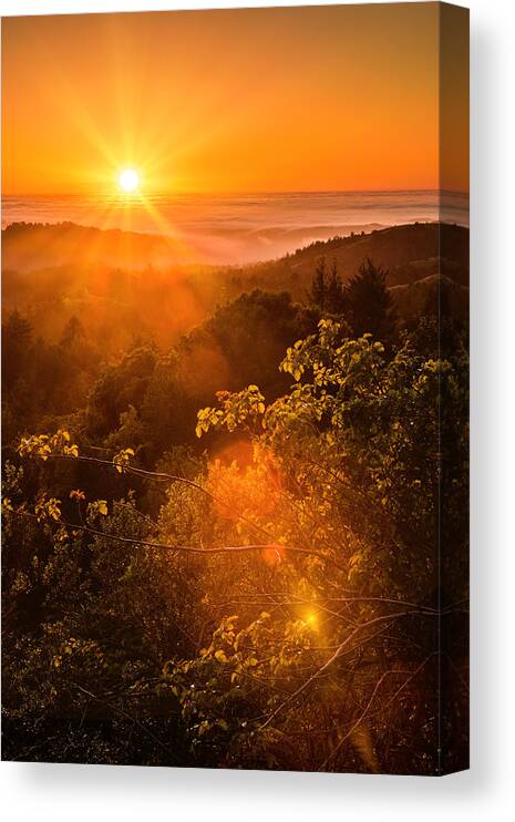 Pacific Canvas Print featuring the photograph Sunset Fog over the Pacific #2 by Bryant Coffey