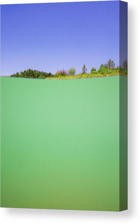 Swim Canvas Print featuring the photograph Swamp by Gemma Silvestre