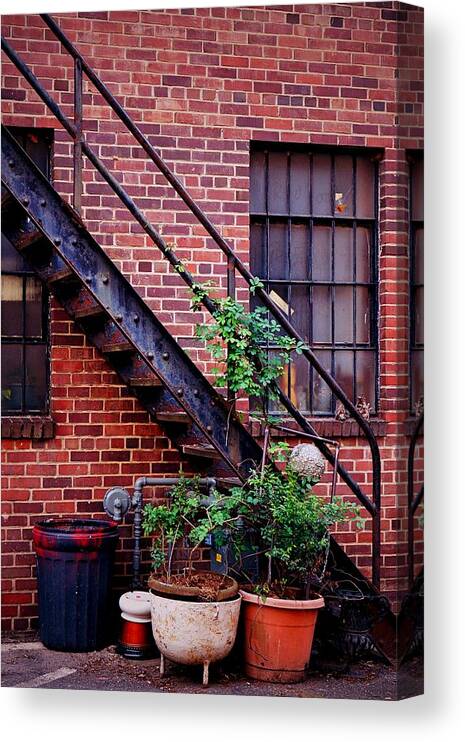 Fine Art Canvas Print featuring the photograph Take The Stairs by Rodney Lee Williams