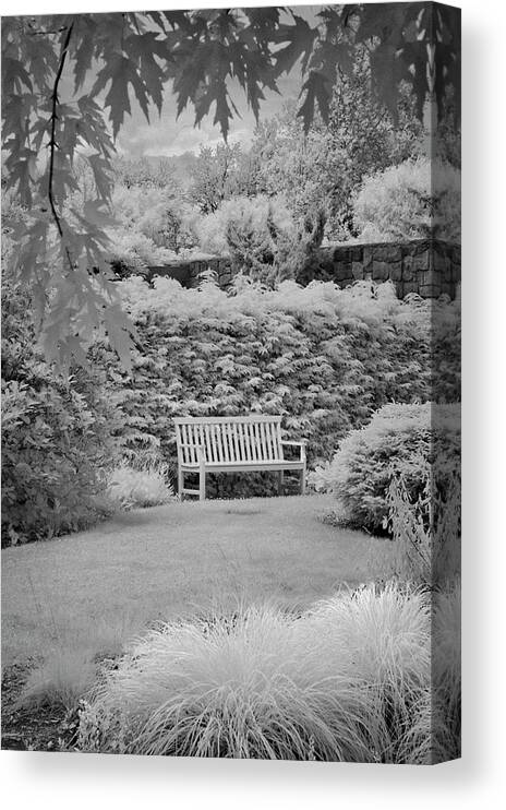 Bench Canvas Print featuring the photograph The Bench by Jill Love