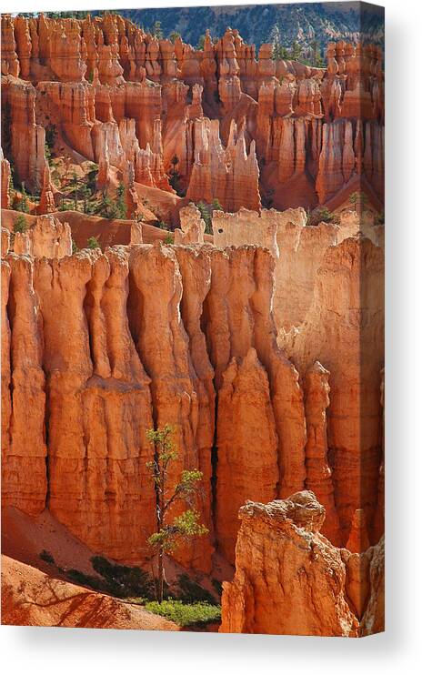 Bryce Canyon Canvas Print featuring the photograph The Colors of Bryce Canyon by Bruce Gourley
