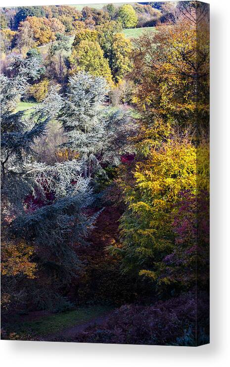 Autumn Canvas Print featuring the photograph The Colours of Autumn by Andy Myatt