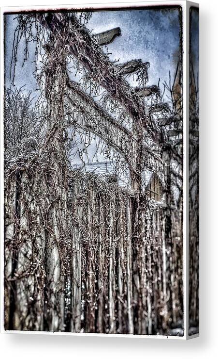 Landscape Canvas Print featuring the photograph The gate by Christine Paris