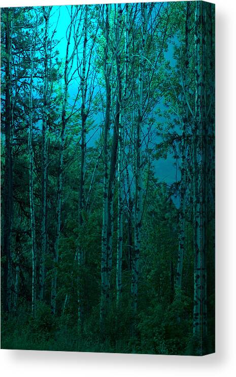 Trees Canvas Print featuring the photograph The Grove by Loni Collins
