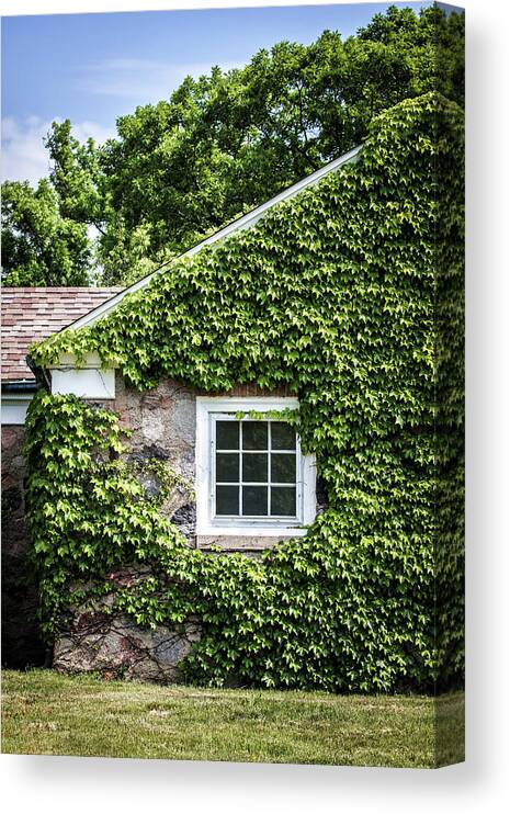 Ivy Canvas Print featuring the photograph The Ivy House by Kim Hojnacki