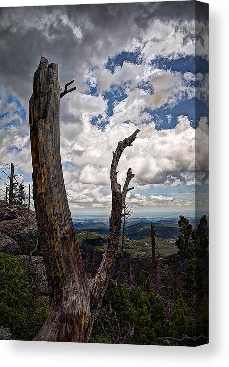 Mountain Canvas Print featuring the photograph The Journey to Harney Peak by Deborah Klubertanz