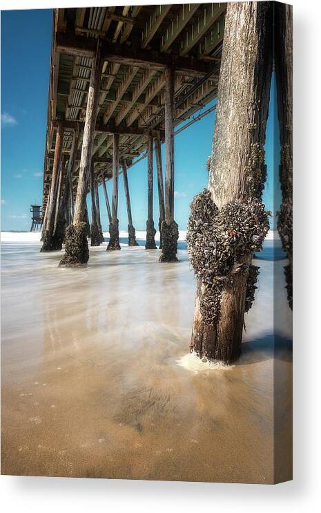 Barnacle Canvas Print featuring the photograph The Life of a Barnacle by Ryan Manuel
