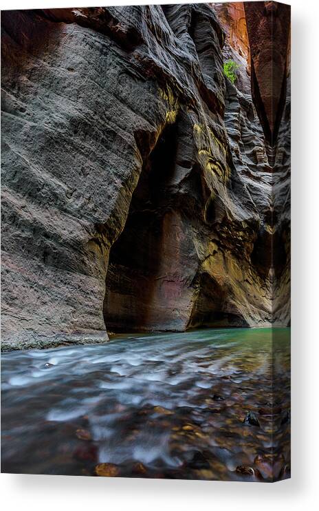 Landscape Canvas Print featuring the photograph Zion Narrows by Chuck Jason