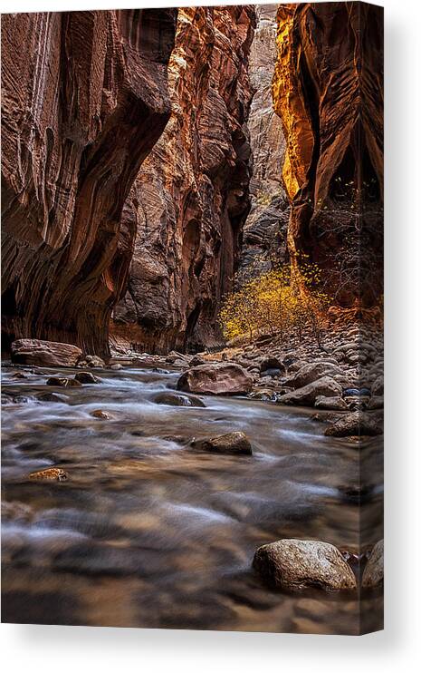 Autumn Canvas Print featuring the photograph The Narrows of Zion by Andrew Soundarajan