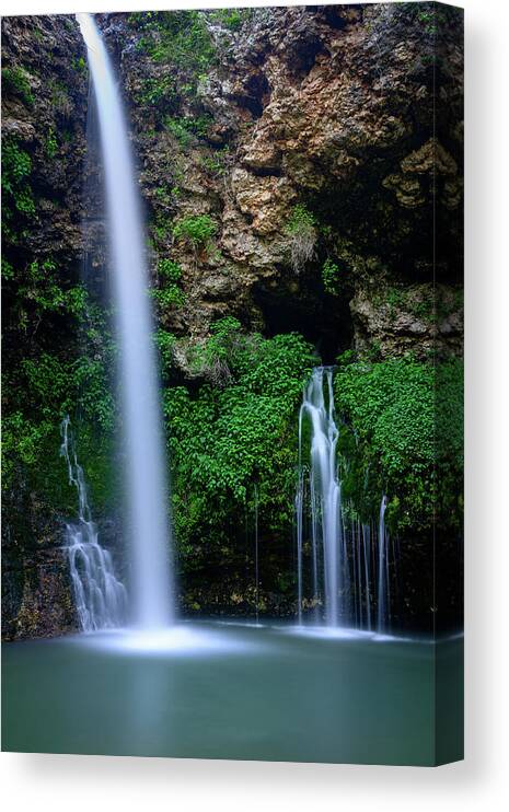 Colcord Canvas Print featuring the photograph The Natural World by Michael Scott