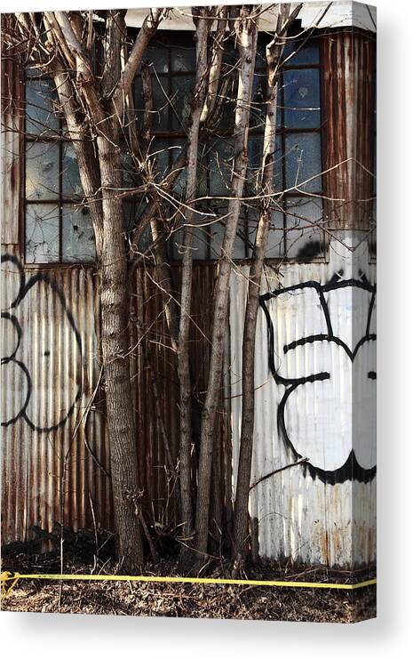 Tree Canvas Print featuring the photograph The Orchard by Kreddible Trout