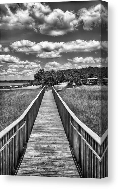 Nature Canvas Print featuring the photograph The Shell Mound by Howard Salmon