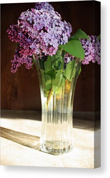 Flowers Canvas Print featuring the photograph The Vase by Becca Wilcox