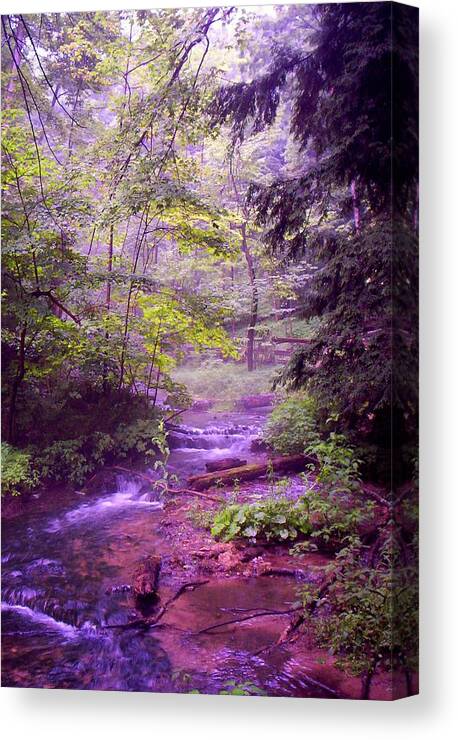 Water Canvas Print featuring the photograph The wonder of nature by John Stuart Webbstock