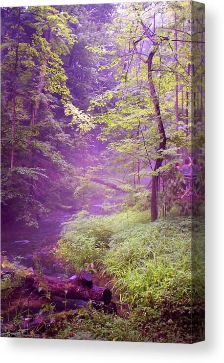 Trees Canvas Print featuring the photograph The wonder of nature Two by John Stuart Webbstock