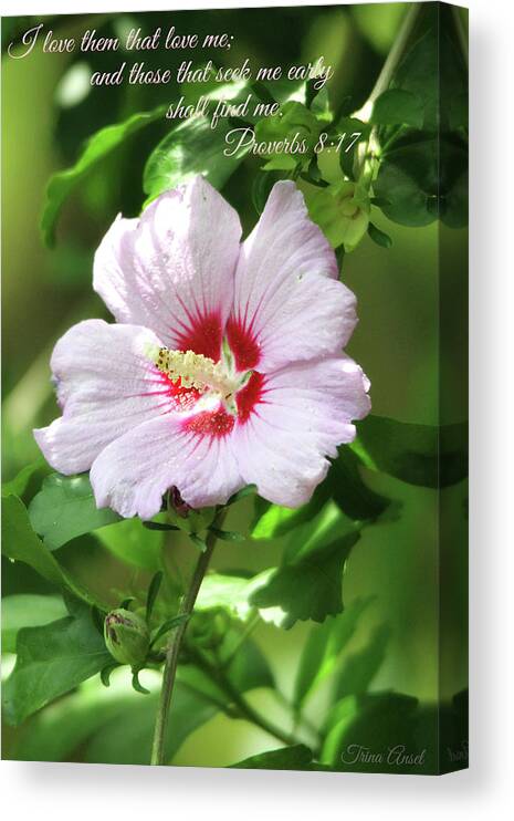 Flowers Canvas Print featuring the photograph Those That Seek Me Shall Find Me by Trina Ansel