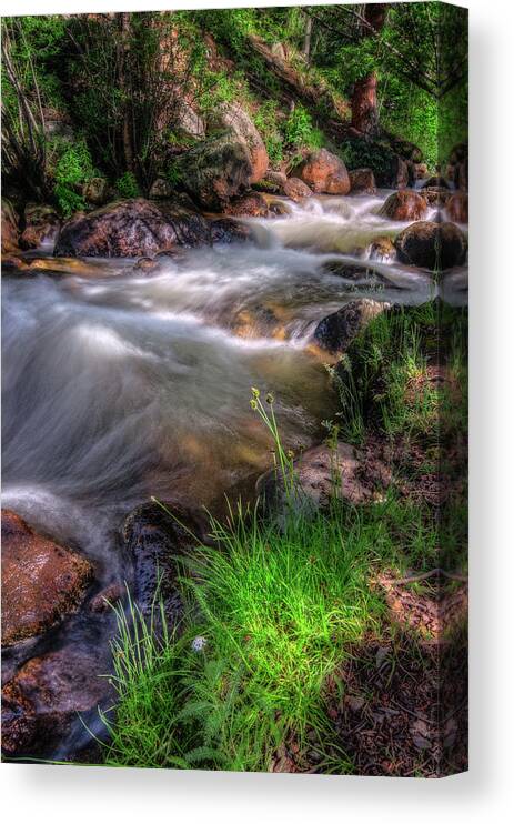 Fine Art Photography Canvas Print featuring the photograph Three Mile Creek, Harmony by John Strong