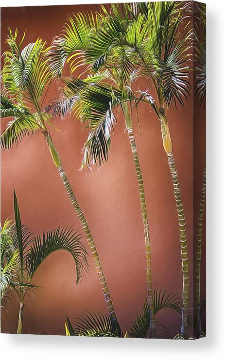 Palm Trees Canvas Print featuring the photograph Three Palms by Pamela Steege