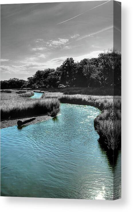 Marsh Canvas Print featuring the photograph Tidal Marsh by DCat Images