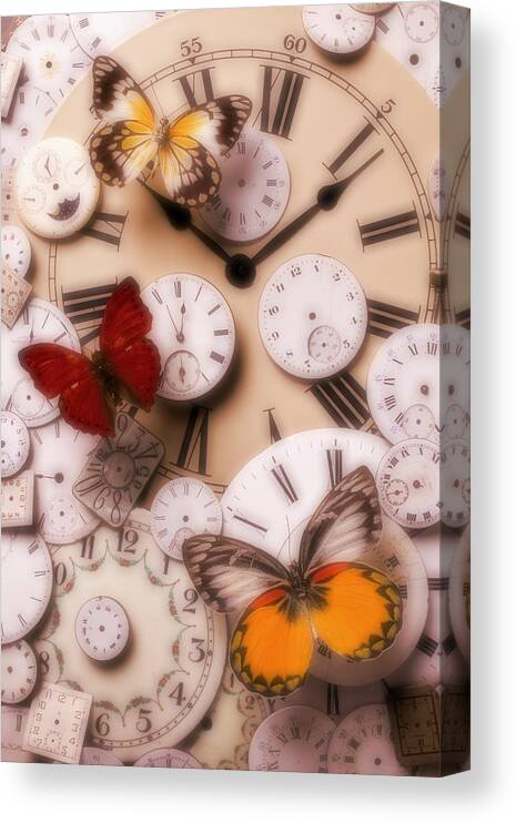 Butterfly Canvas Print featuring the photograph Time flies by Garry Gay