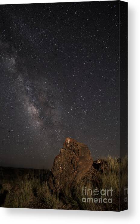Petrified Forest Canvas Print featuring the photograph Time by Melany Sarafis