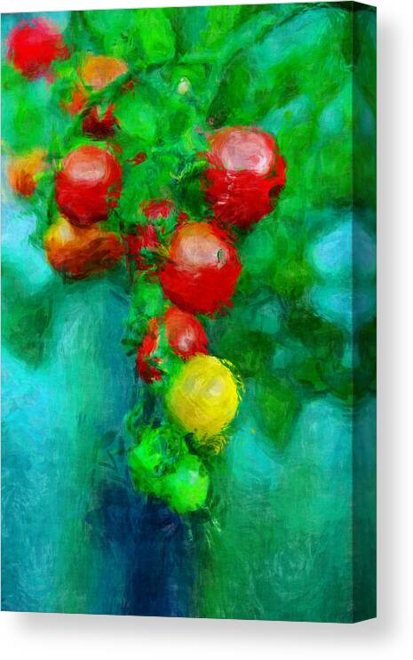 Tomatos Canvas Print featuring the photograph Tomatos by Pedro Rossi