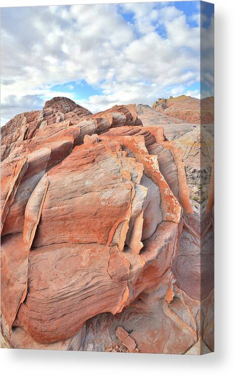 Valley Of Fire State Park Canvas Print featuring the photograph Top of the World at Valley of Fire by Ray Mathis