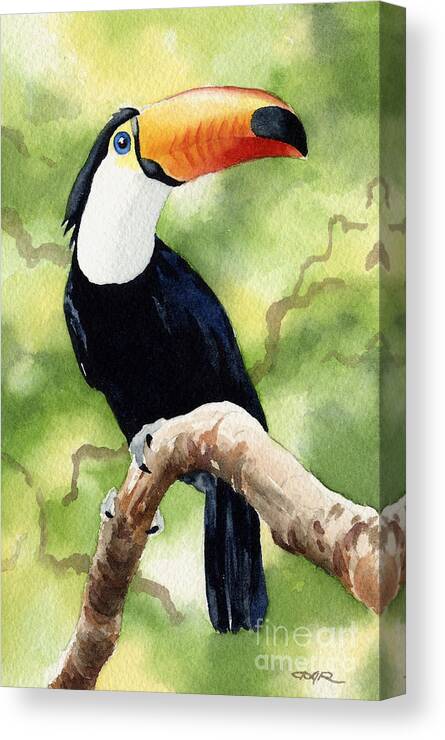 Toucan Canvas Print featuring the painting Toucan by David Rogers