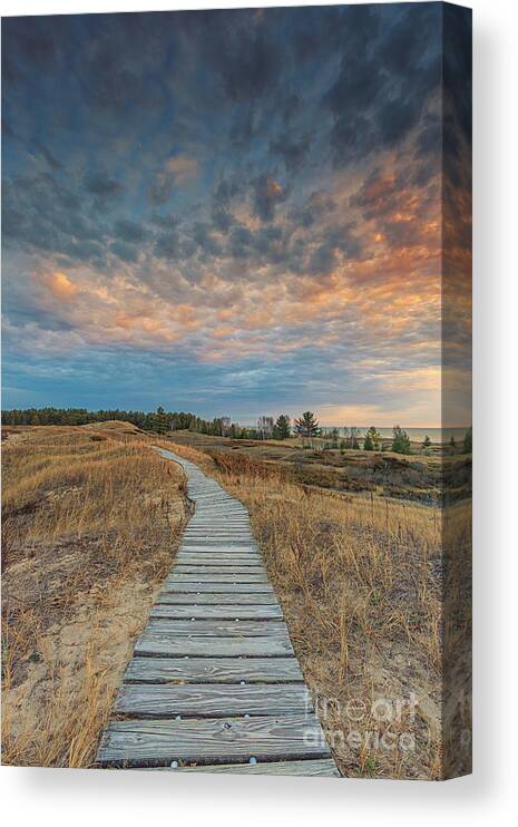 Autumn Canvas Print featuring the photograph Trailing Off by Andrew Slater
