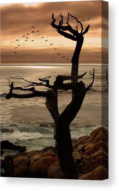 Tree Canvas Print featuring the photograph Tree with Birds by Harry Spitz