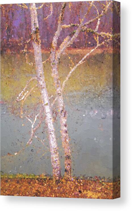 Whetstone Brook Canvas Print featuring the photograph Trees By The River by Tom Singleton